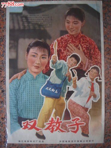 办理假乍得护照